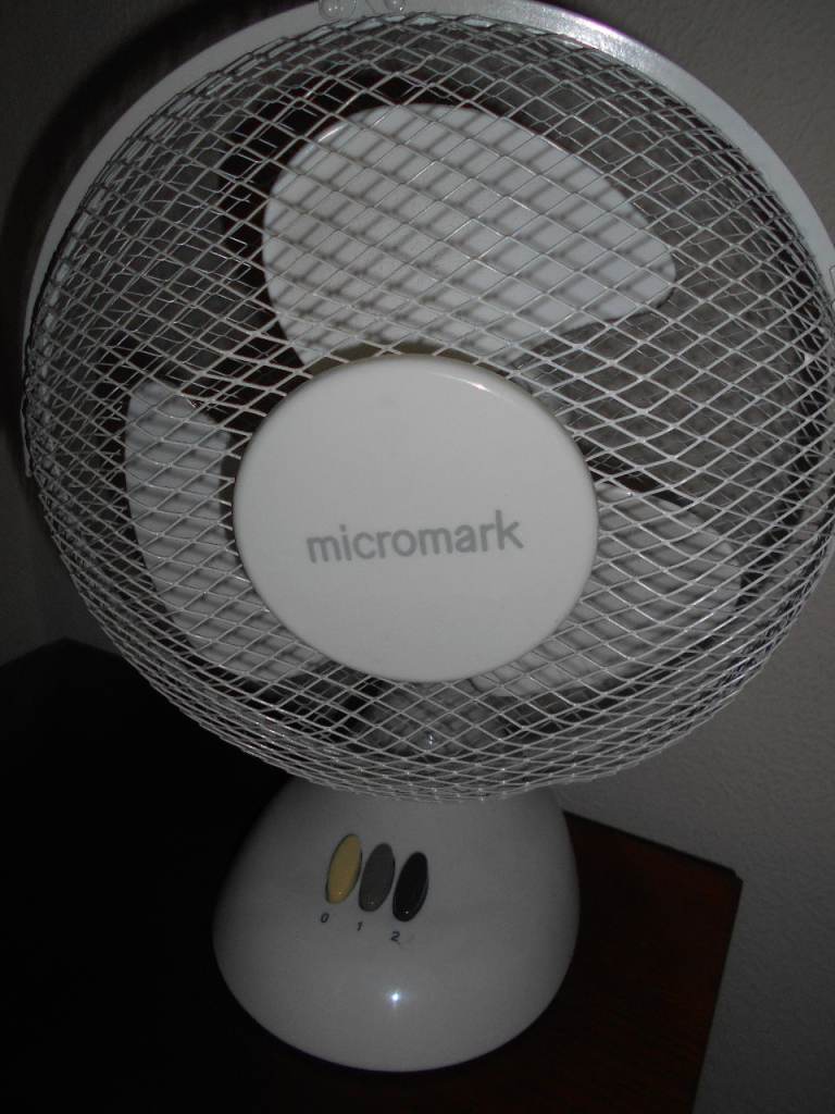 ELECTRIC FAN