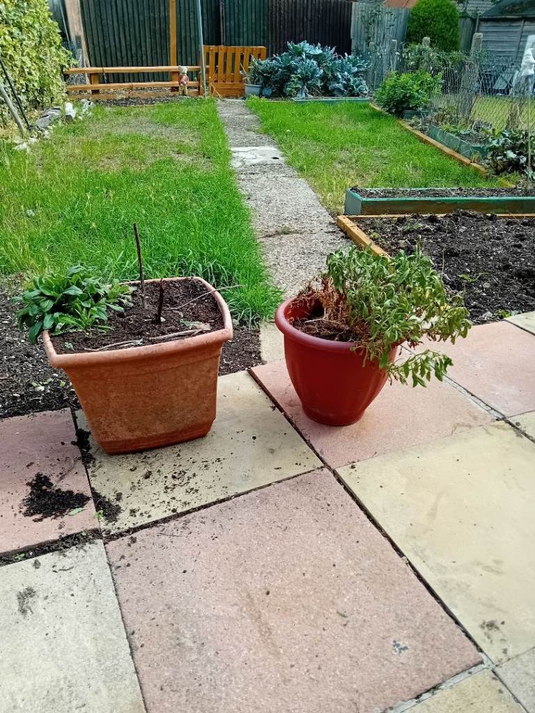 Two empty plastic plant pots