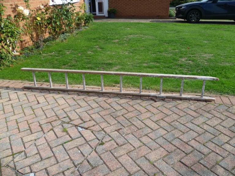 Good Condition Single Section Wooden Ladders