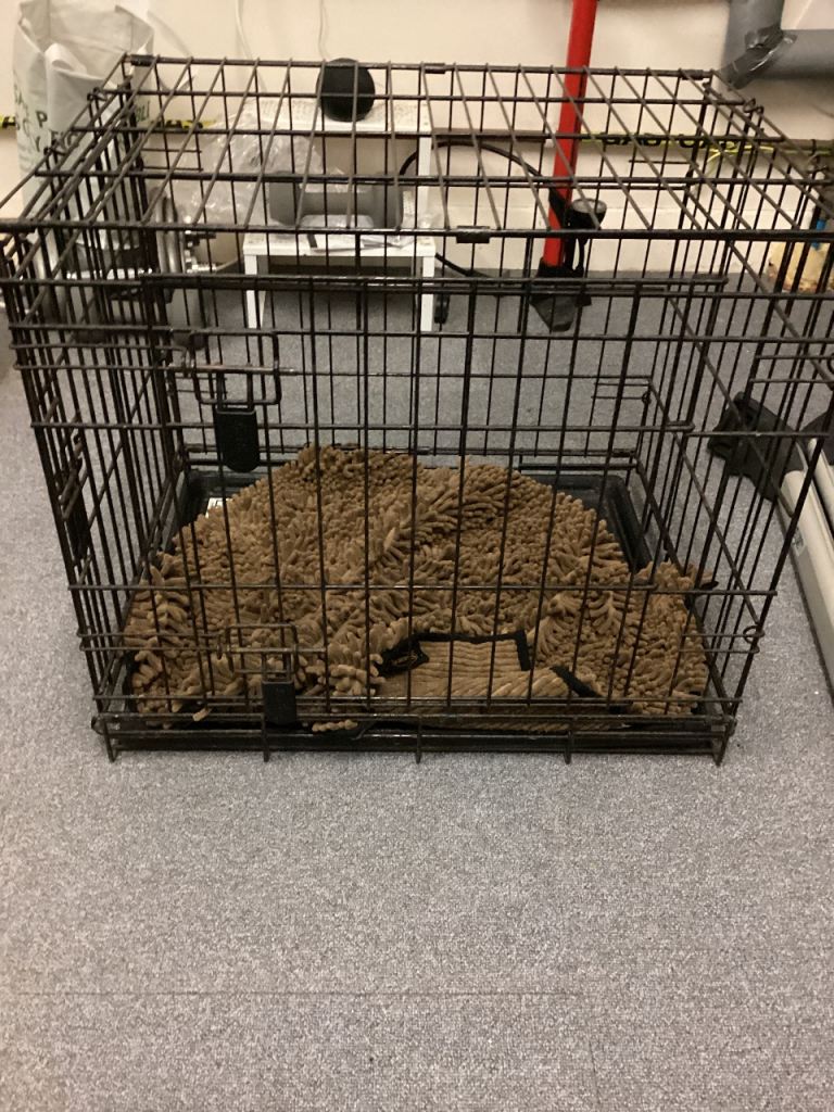 One large and one medium dog crate.
