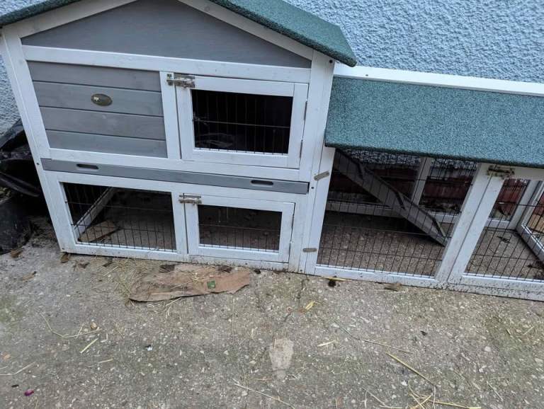 Rabbit Guinea Pigs Hutch