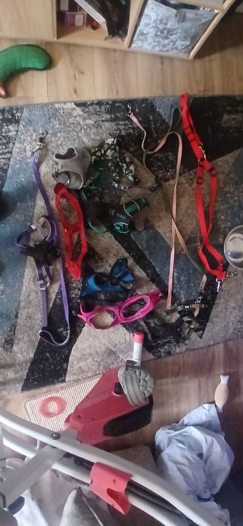 Leads and harnesses 