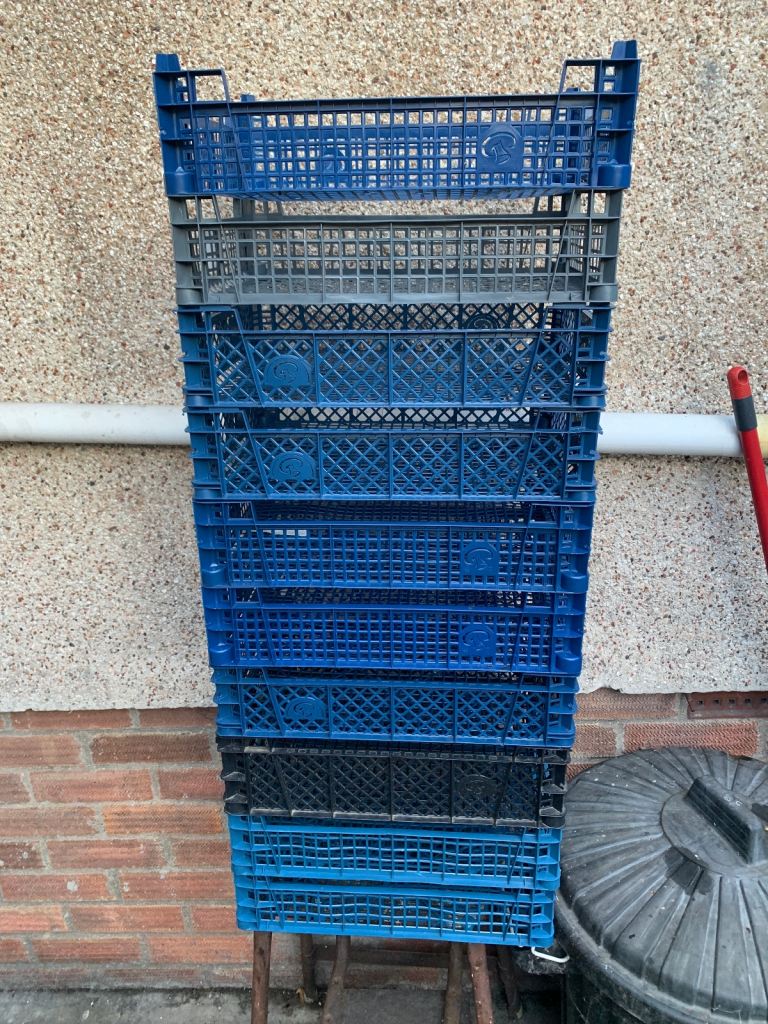 image for Free mushroom crates 