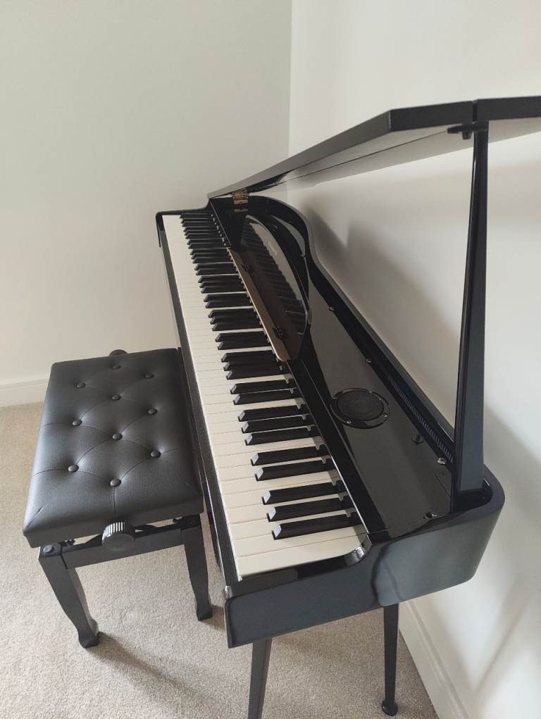 Rare Design Digital Compact Baby Grand Style Lift Top Piano with Bluetooth