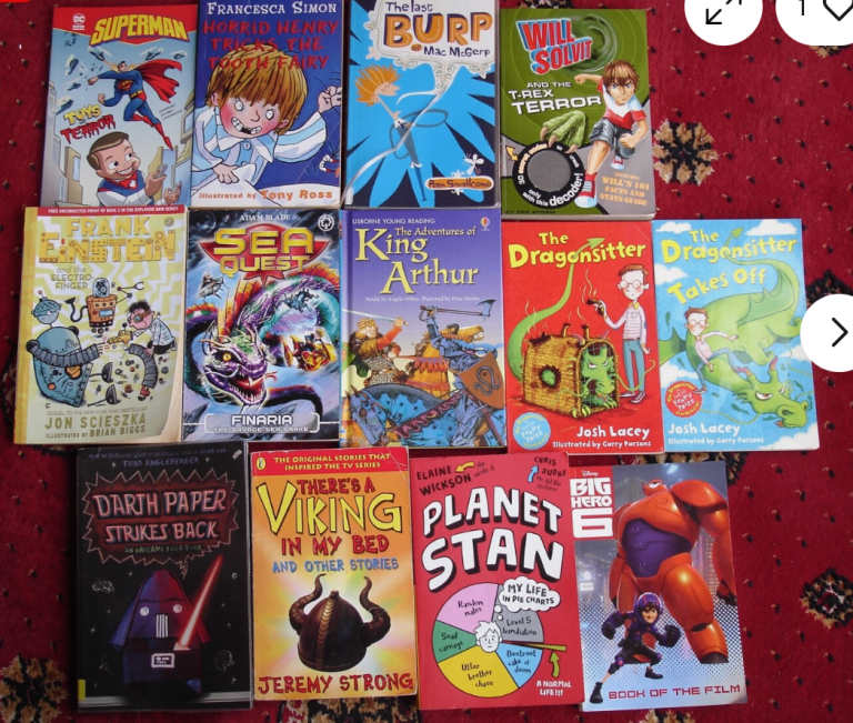 £3 for 13 reading books Big hero6 Burp Mac McGurp Sea quest Darth paper Dragonsitter etc