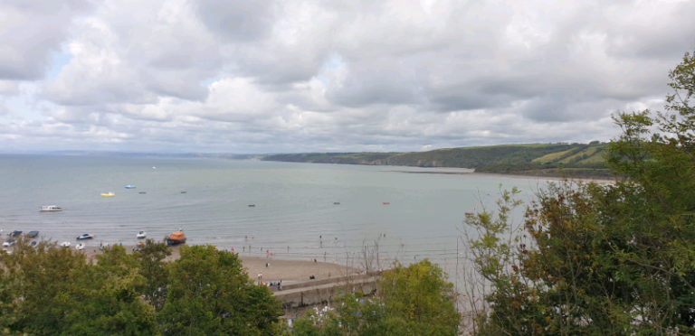 Travel companion needed