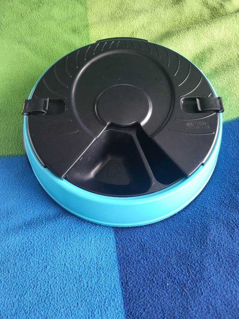 Automatic cat feeder