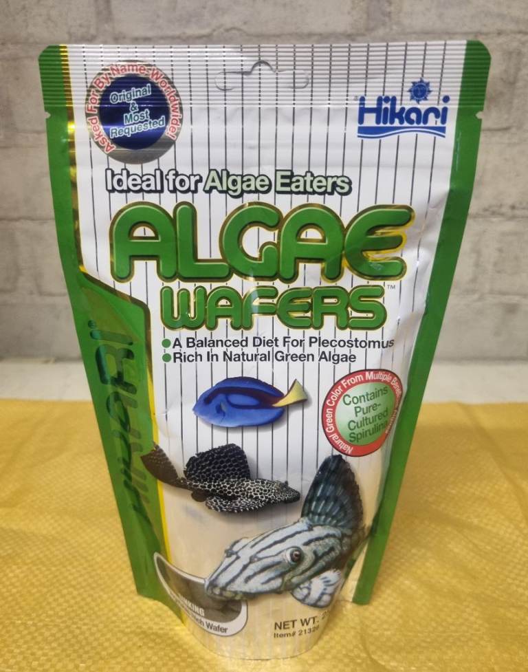 Hiraki algea wafers