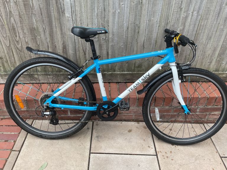 Frog 73 Team Sky Unisex Kids Bike