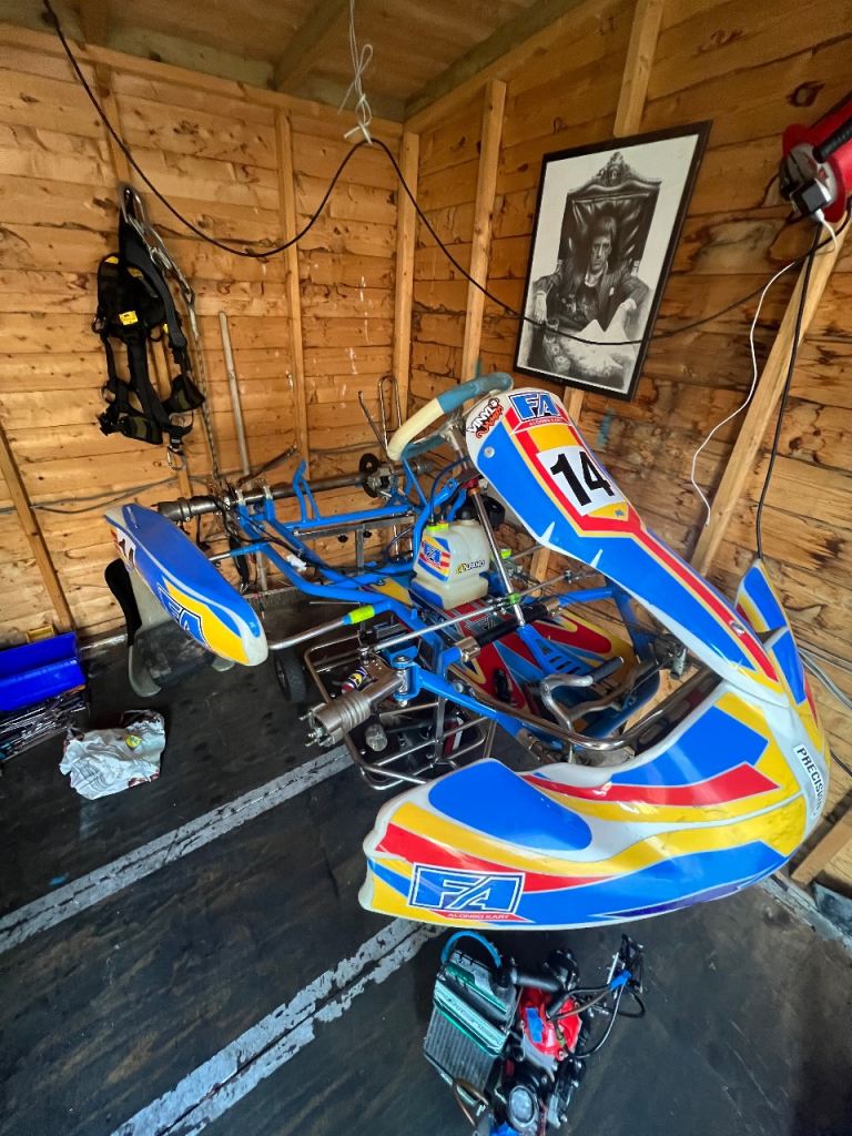 Rotax senior go kart alonso 