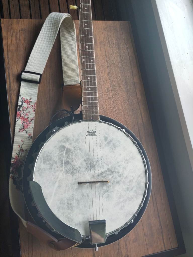 5 string banjo