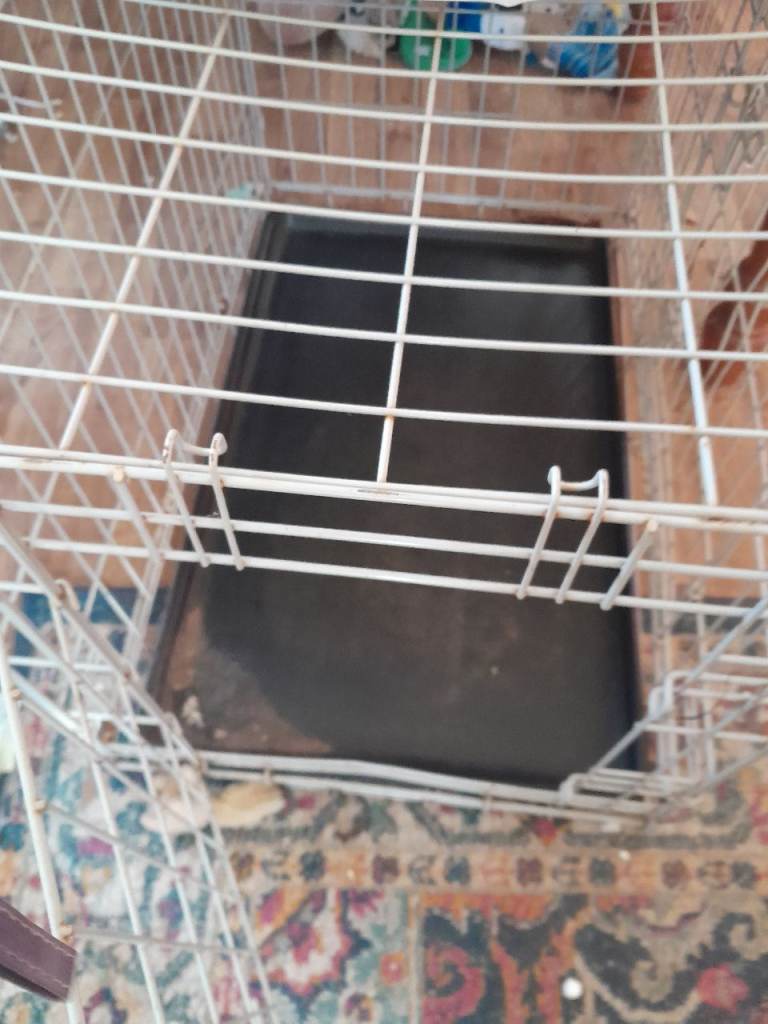 Medium dog crate for sale beeston nottingham 