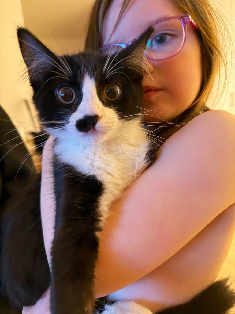 Kittens 