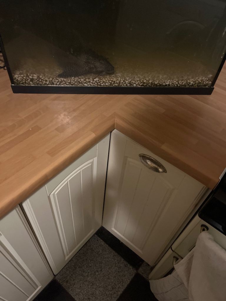 24” fish tank setup 