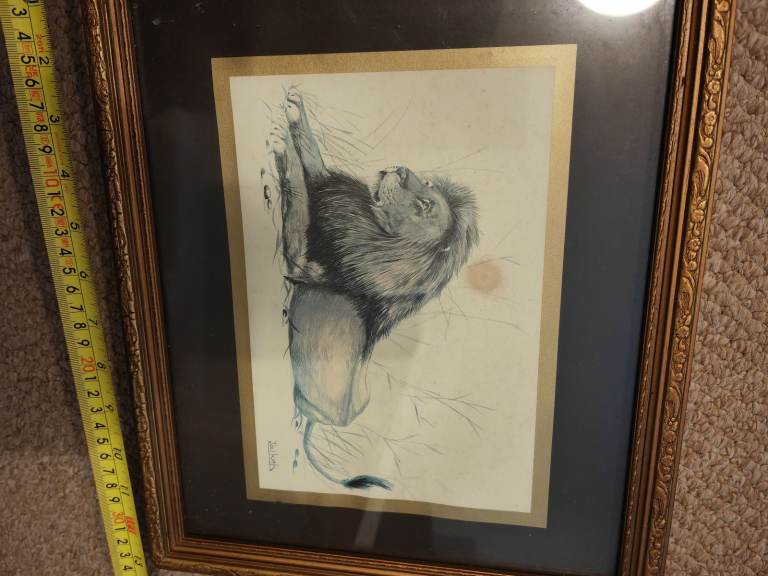 Lion print