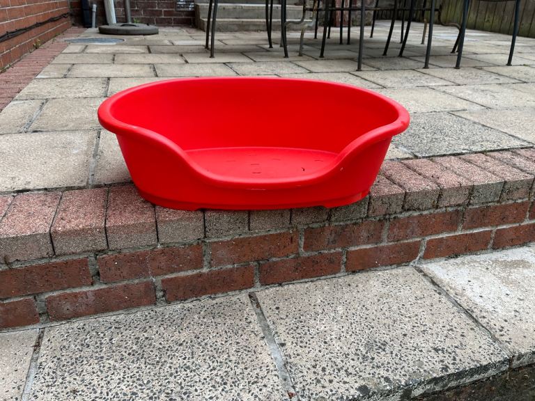 Red plastic dog bed
