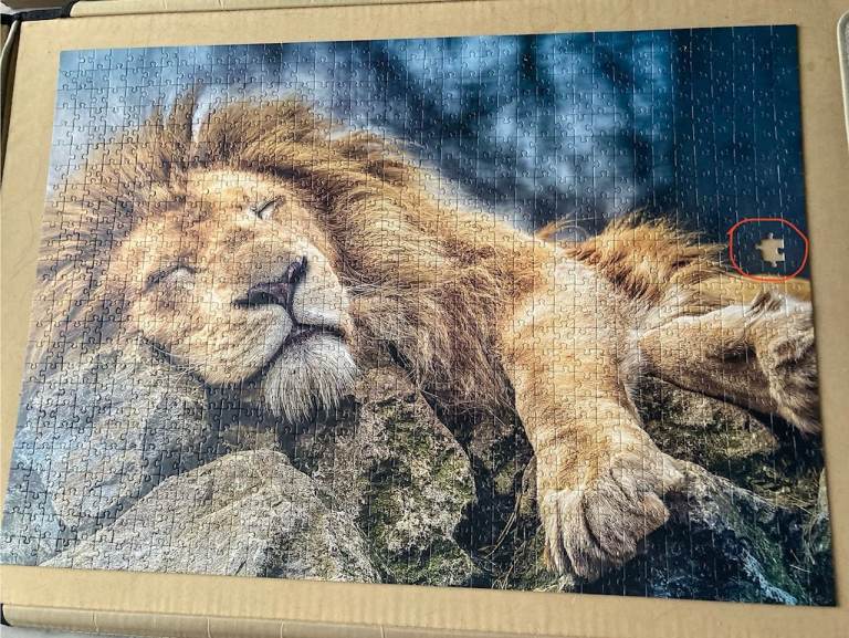 INCOMPLETE Jigsaw Puzzles 5 x 1,000 piece - (have 1 or more pieces missing, see pictures)