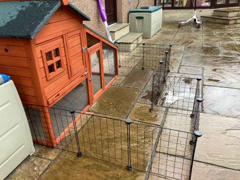 Rabbit /Guinea pig /Small pet run
