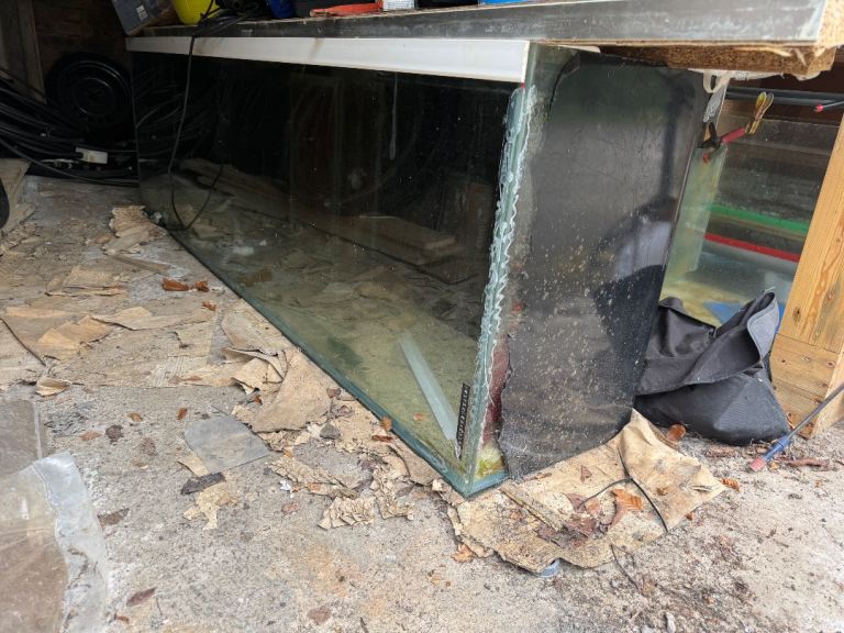 7ft fish tank