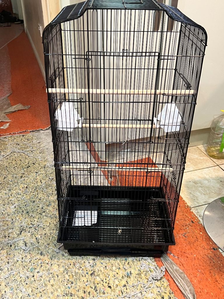 Large Bird cage 