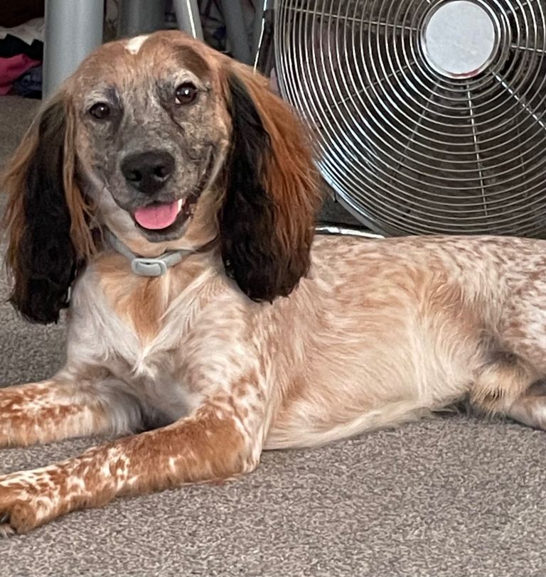 Say hi to Chip! 
