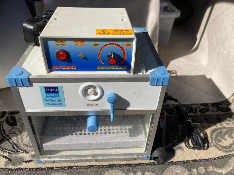 Egg Incubator 