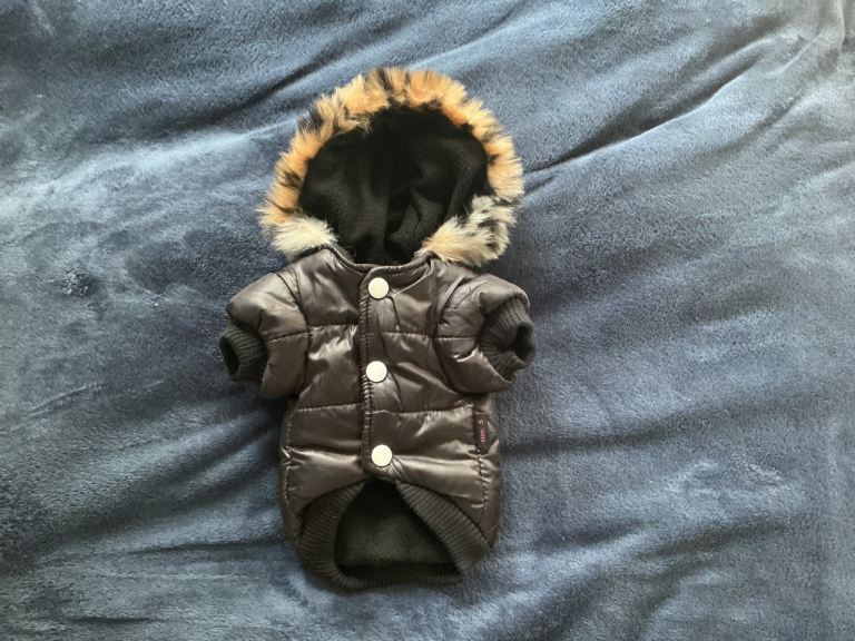 Dog Coat for a small dog. Yorkie etc etc. Black, Hooded. BRAND NEW.