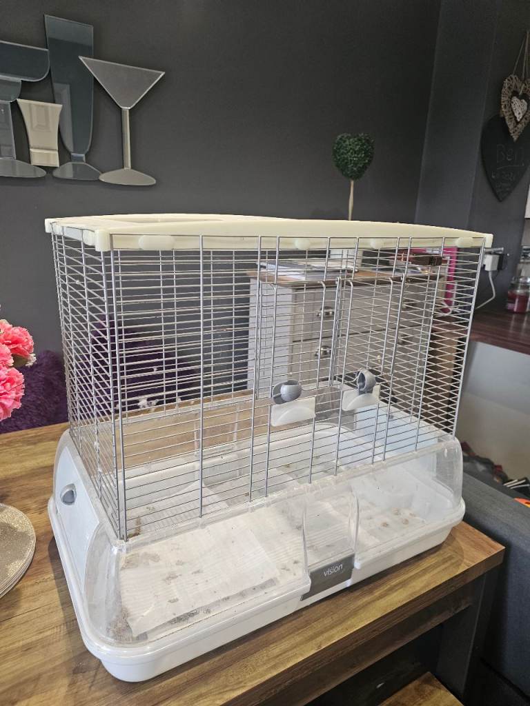 Bird Cage