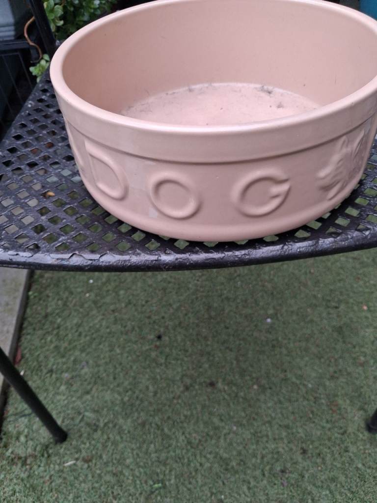 Large dog bowl