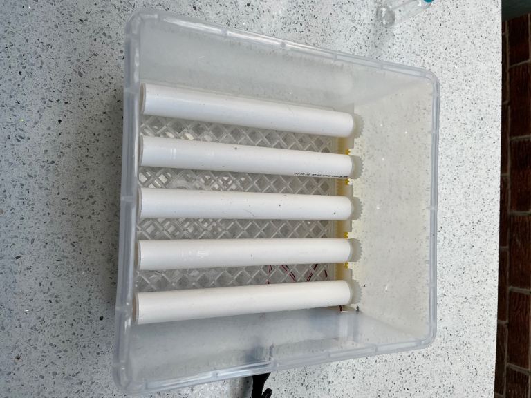 Egg incubator