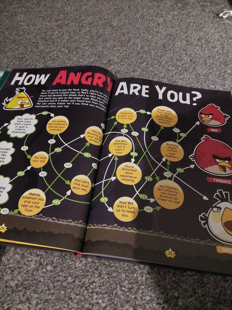 Angry Birds 2013 annual book