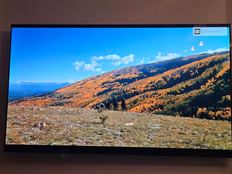 LG OLED 65 E9 with inbuilt speakers