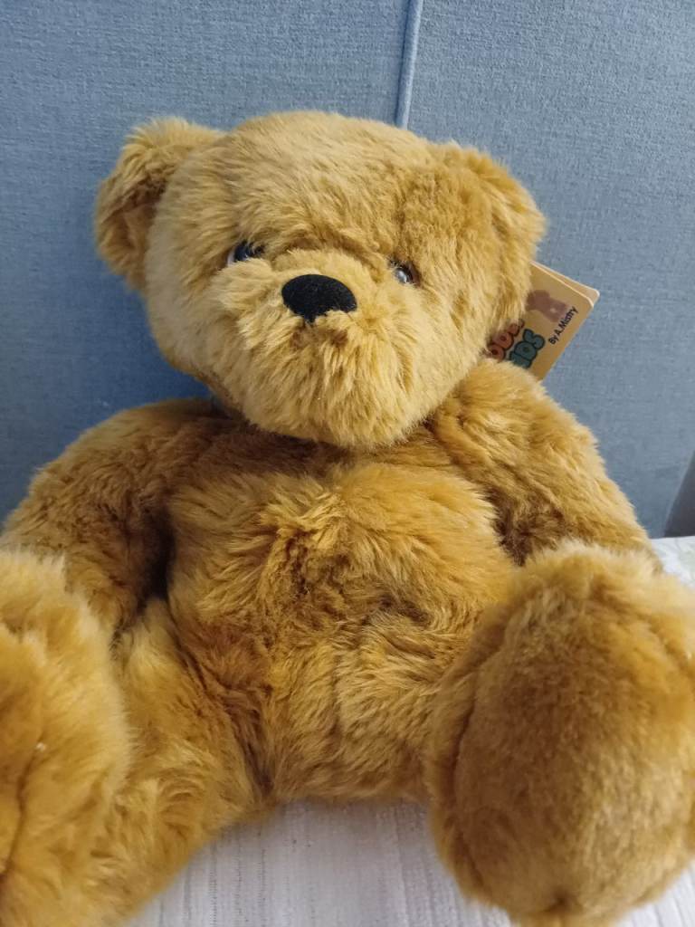 Teddy bear