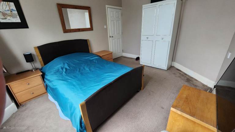 Lovely sunny room in Christchurch 