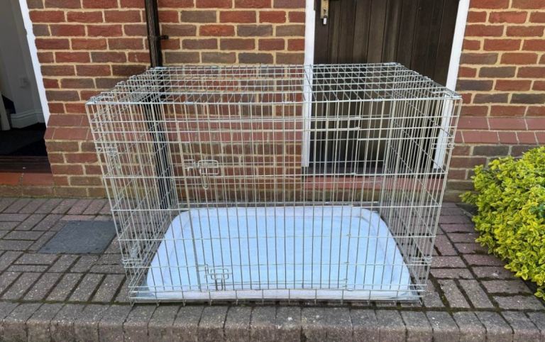 Ellie-Bo metal silver XL 48 inch Folding Dog Cage/Crate with metal tray