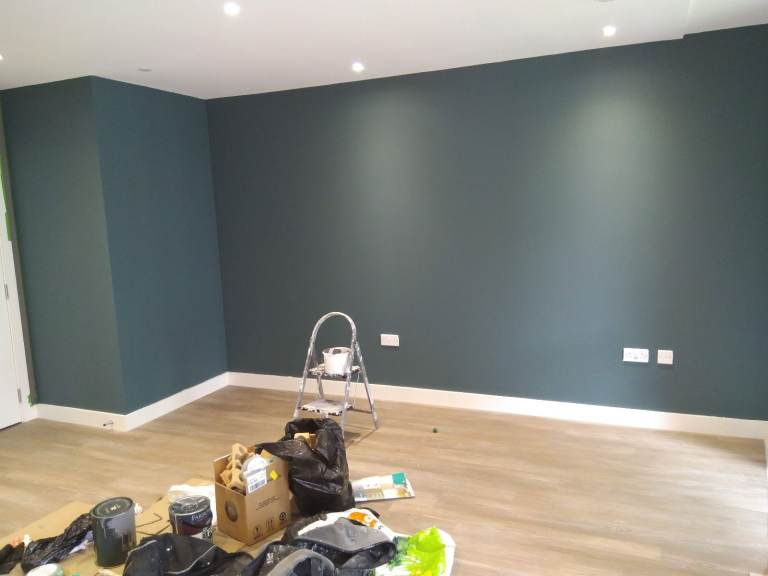 PAINTER AND DECORATOR in London (CSCS card) 