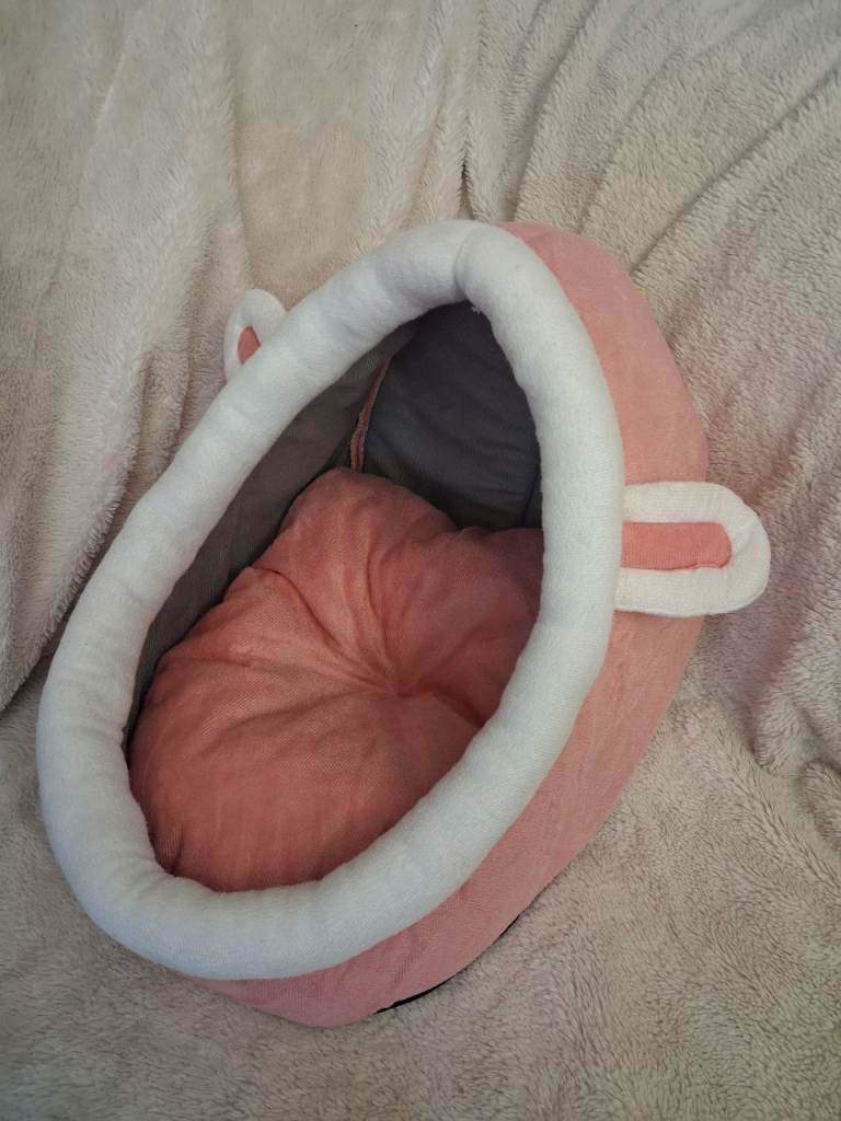 Brand new cat bed small dog / puppy bed