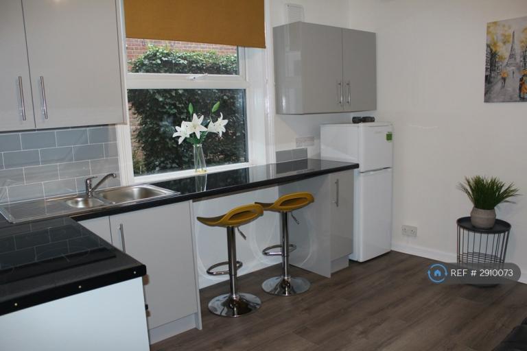 Studio flat in Earlham Road, Norwich, NR2 (#2910073)