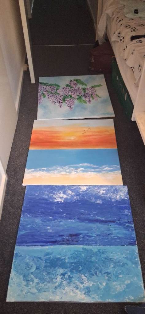Set of Three 60x60cm Canvas Paintings – As Good As New