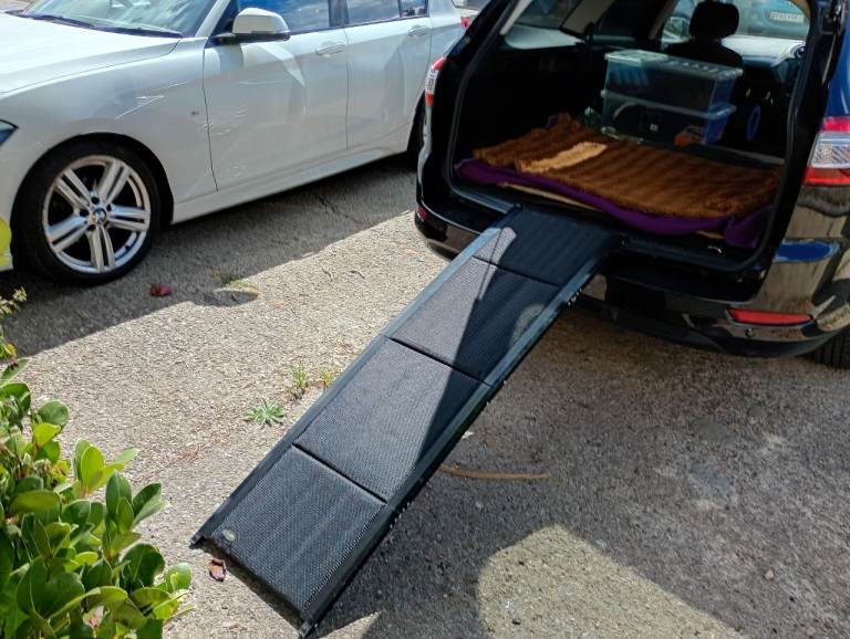 DOG CAR RAMP