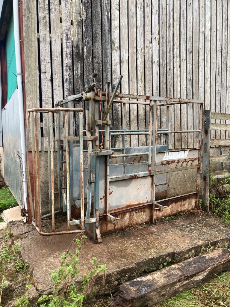 Heavy Duty Cattle Crush 