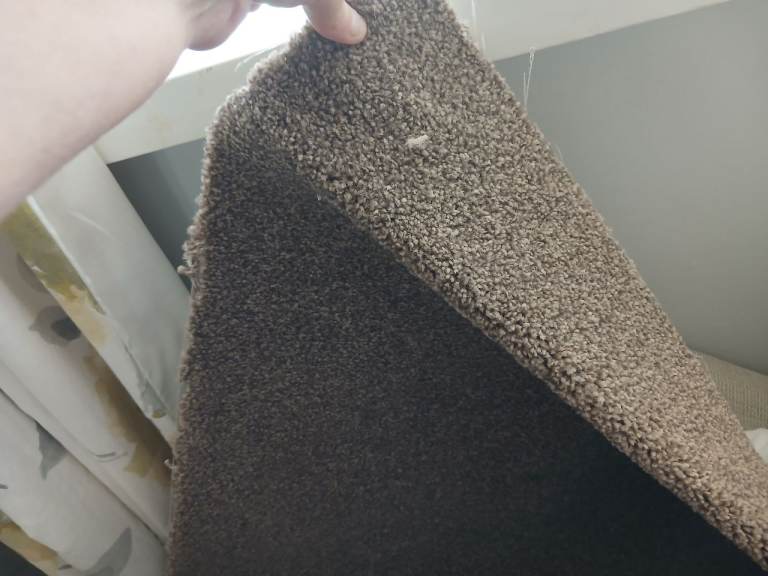 Carpet