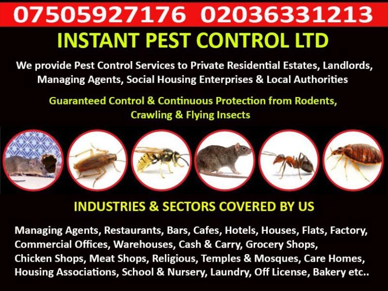 100% Guaranteed Pest Control Edmonton Islington Archway Bedbug Rat Mice Ant Cockroach Flea Mouse