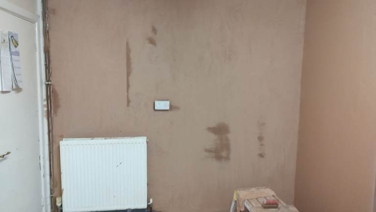 Plasterer and painter 