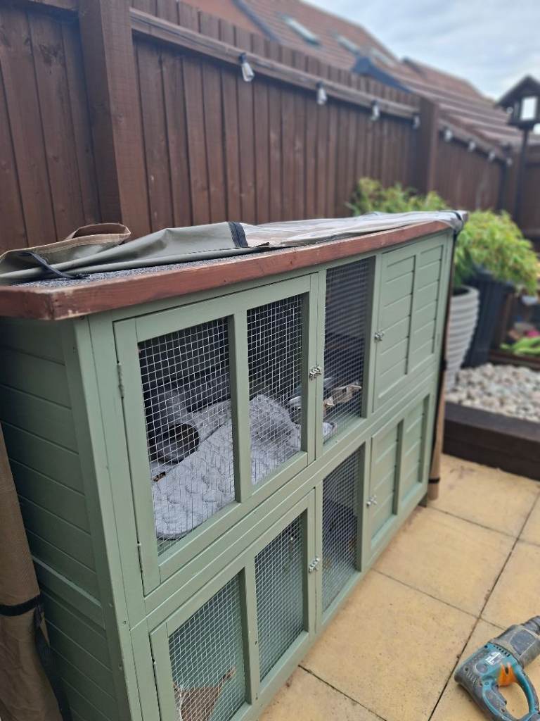 Rabbit hutc 