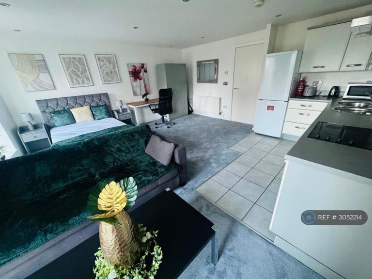 Studio flat in Masshouse Plaza, Birmingham, B5 (#3052214)