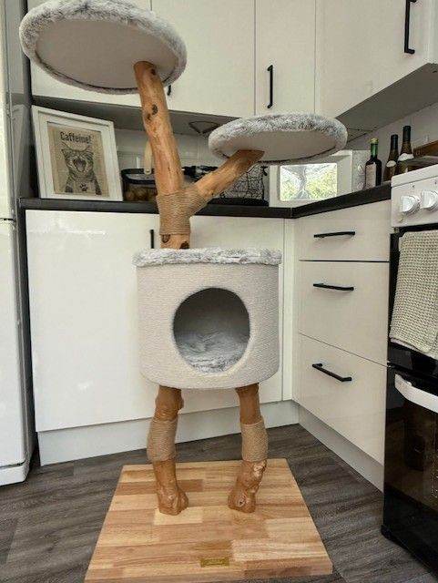LORDS AND LABRADORS. Cat Tree Kitty Condo (As New)