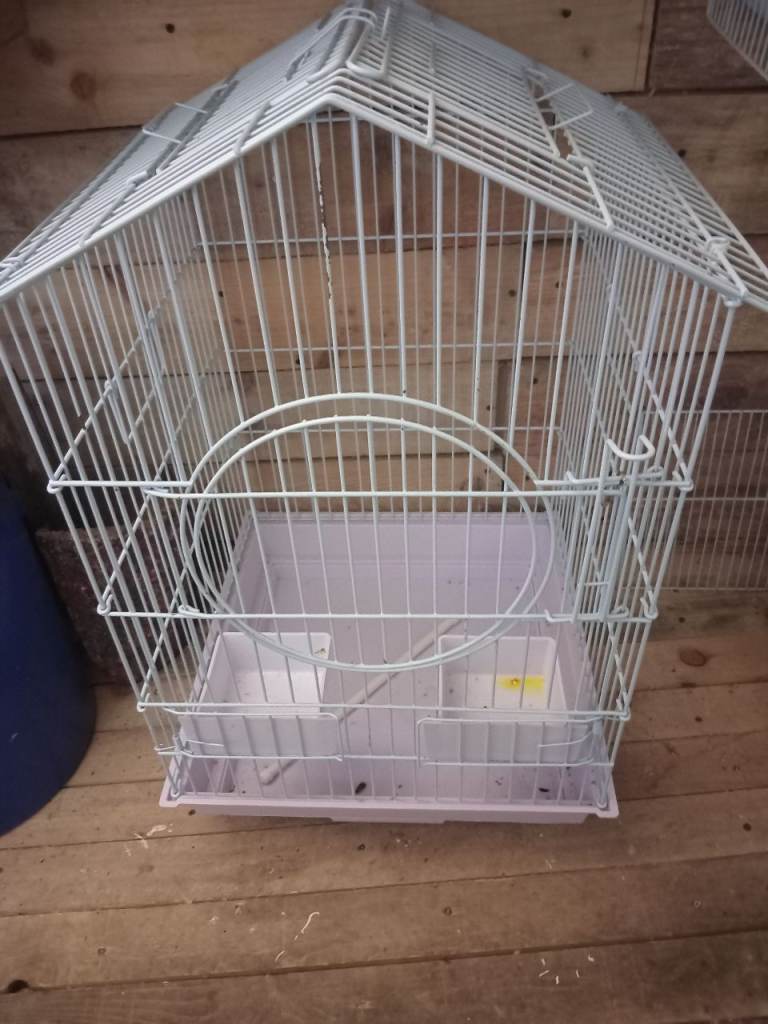 Bird cage 