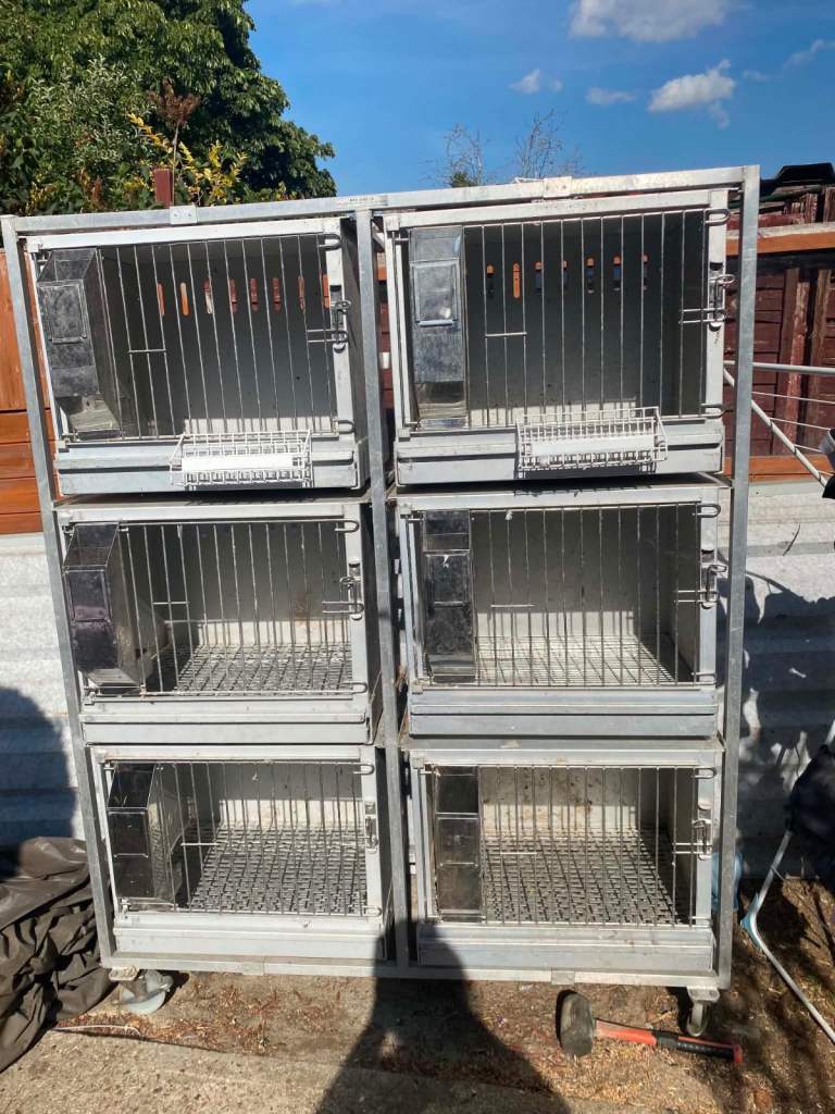 Vet cages for small animals 