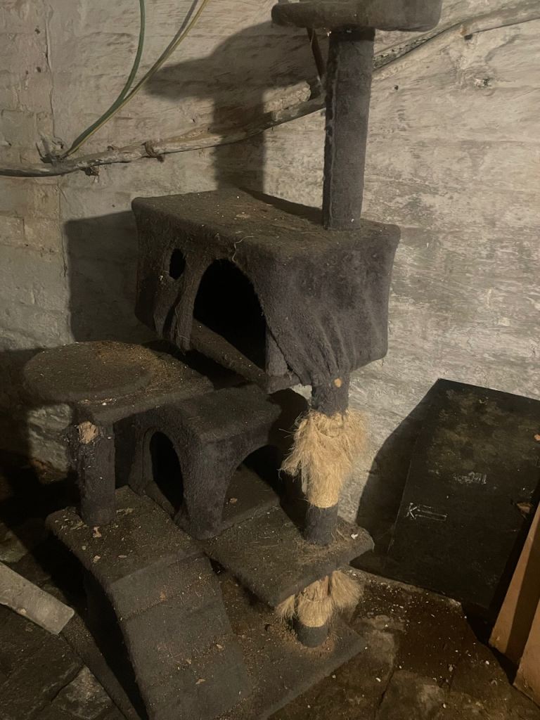Cat house 